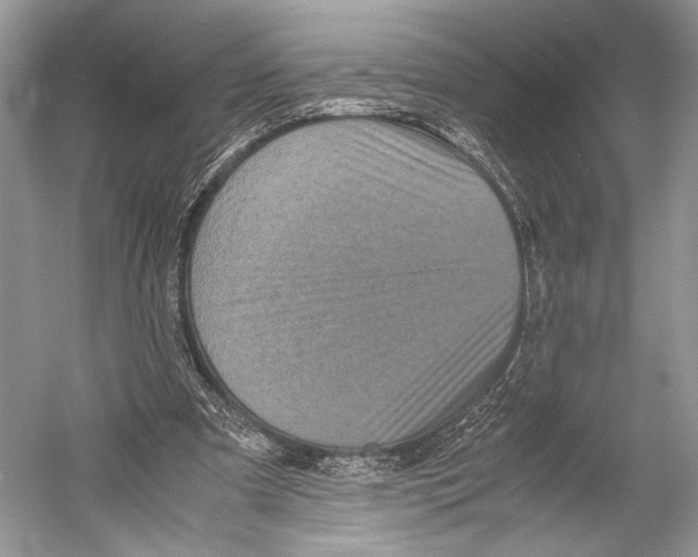 X0000052920297200508050810