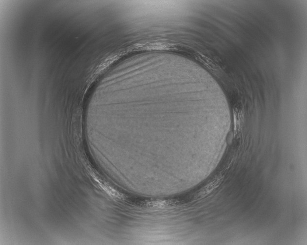 X0000052920301200508050810