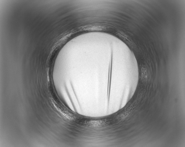 X0000052920302200508050810