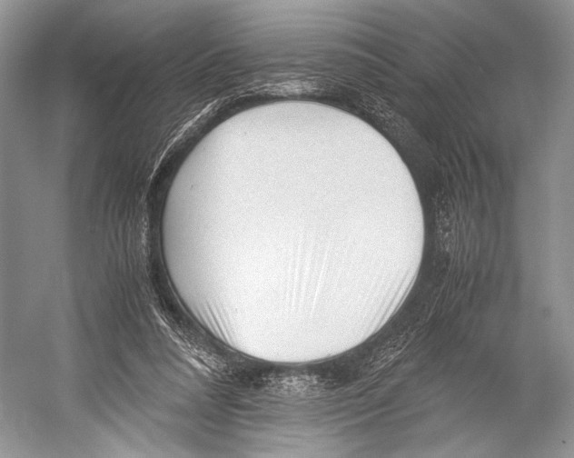X0000052920304200508050810