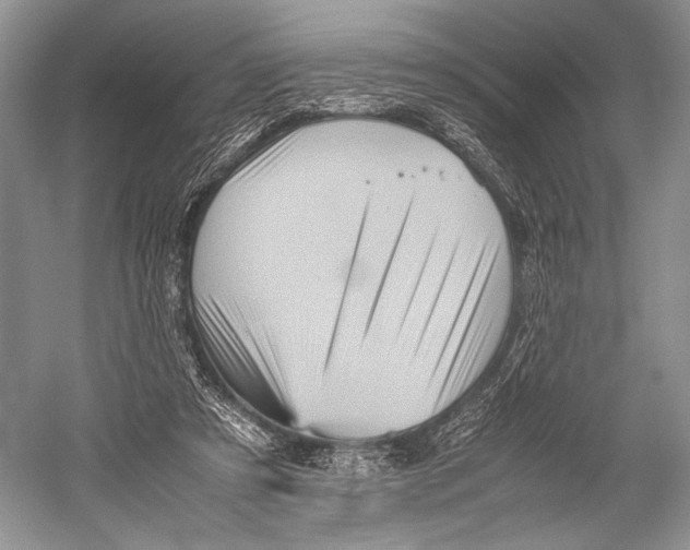 X0000052920305200508050810