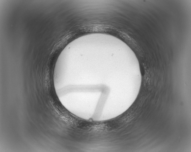 X0000052920306200508050810
