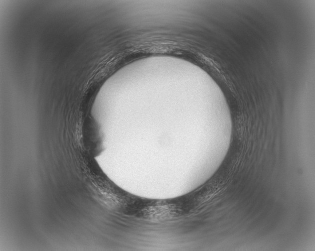 X0000052920307200508050810