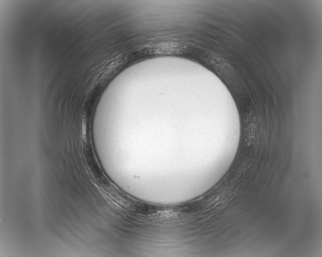 X0000052920310200508050810