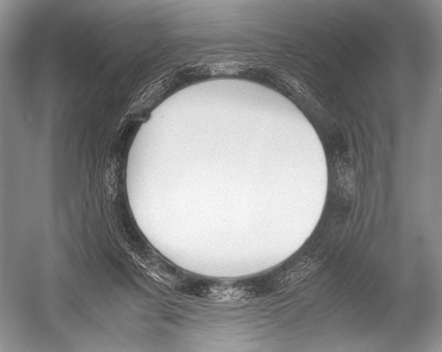 X0000052920311200508050810