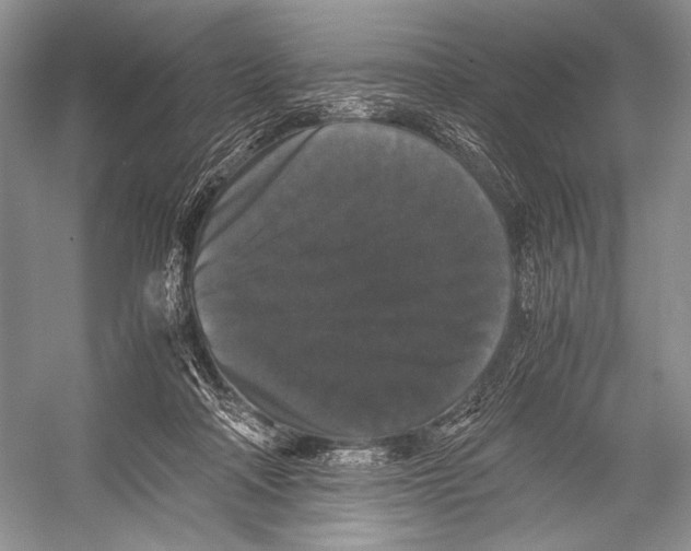 X0000052920314200508050810