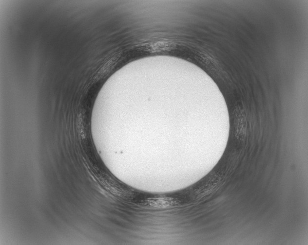 X0000052920316200508050810
