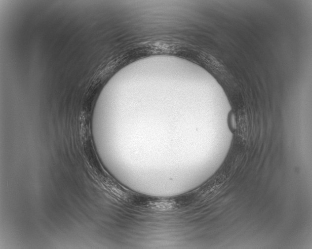 X0000052920318200508050810