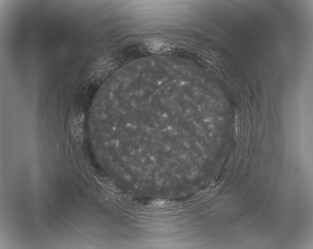 X0000052920319200508050810