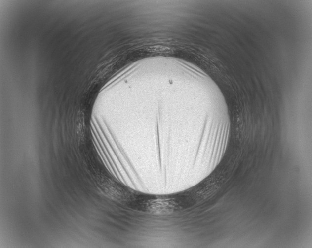 X0000052920320200508050810