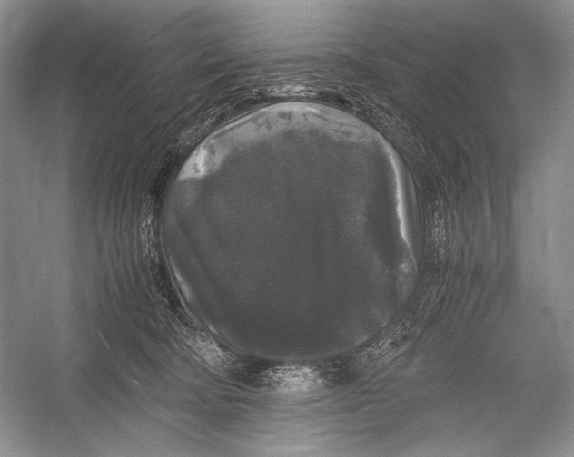 X0000052920322200508050810