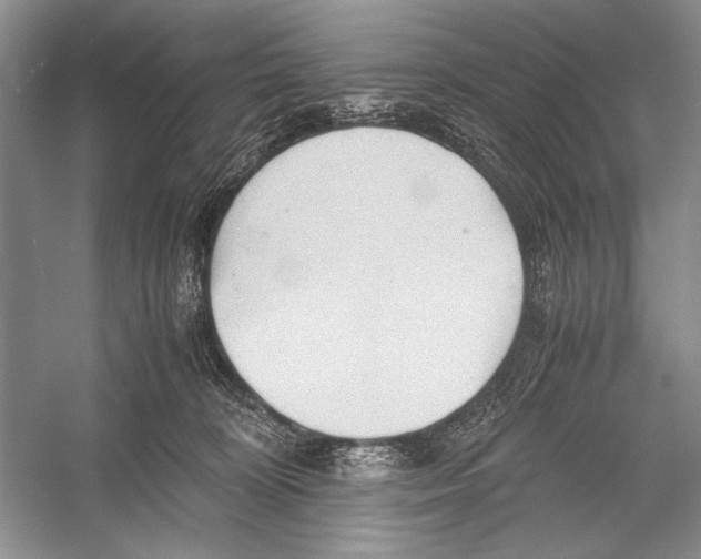 X0000052920324200508050810