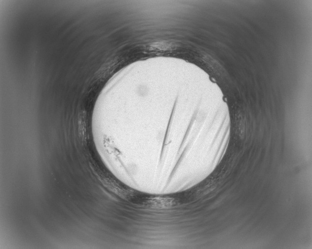 X0000052920328200508050810