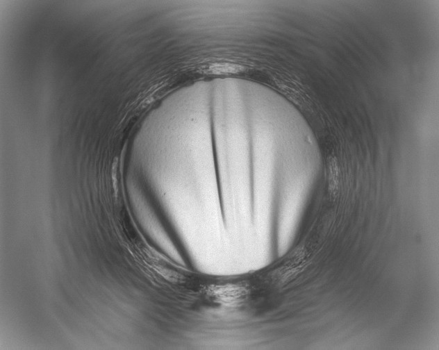 X0000052920360200508050809