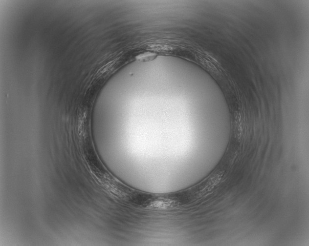 X0000052920364200508050809