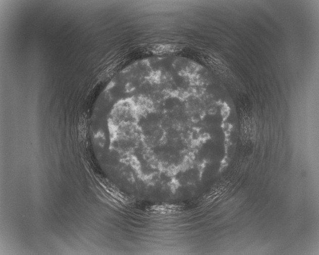 X0000052920367200508050809