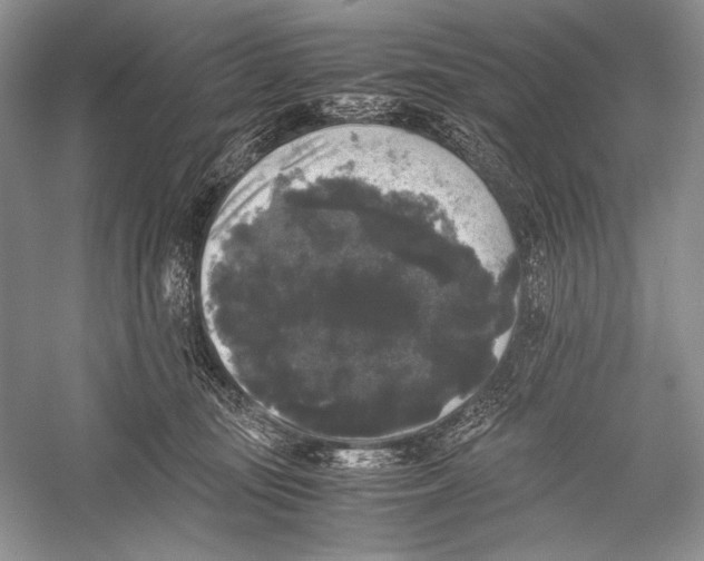 X0000052920371200508050809