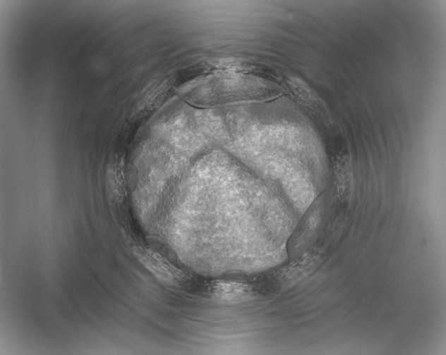 X0000052920376200508050809