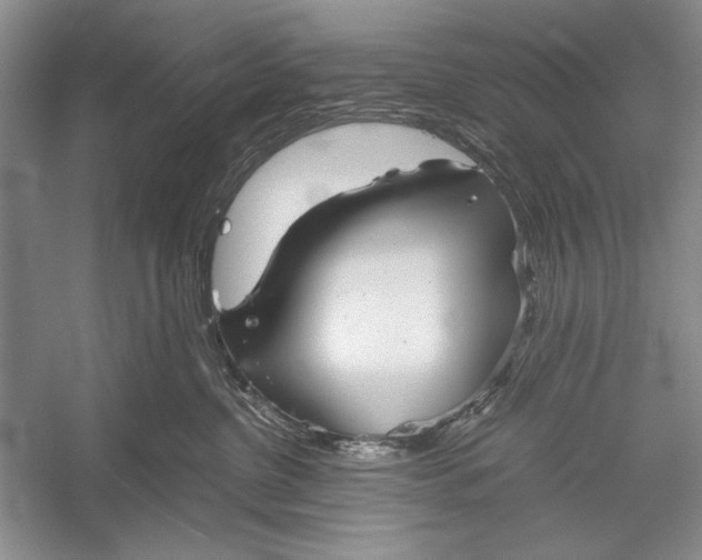 X0000052920380200508050810