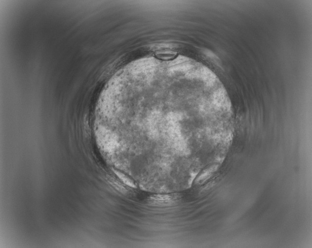X0000052920381200508050810