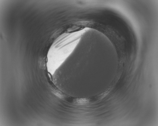 X0000052920383200508050810