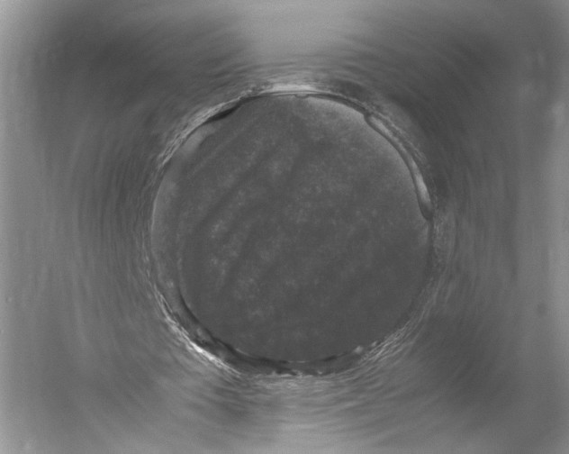 X0000052920385200508050809