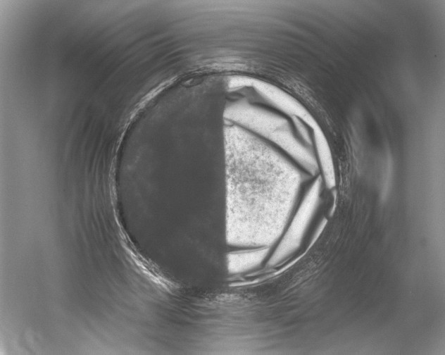 X0000052920390200508050809