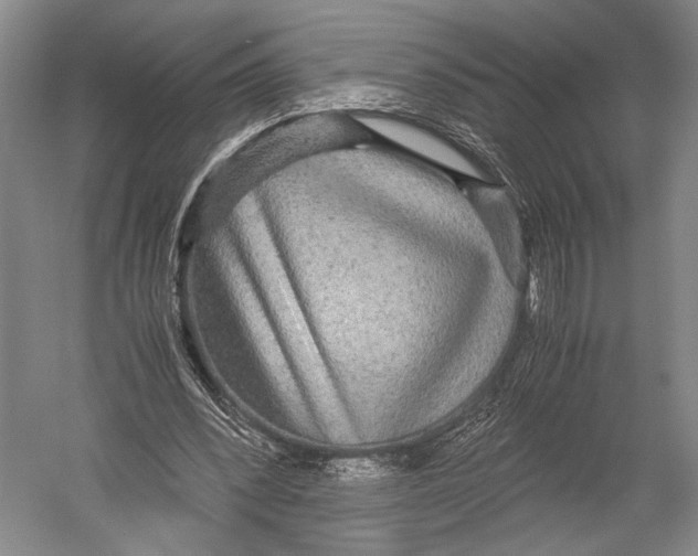 X0000052920392200508050809