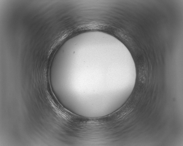 X0000052920394200508050809