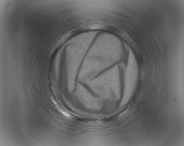 X0000052920397200508050809