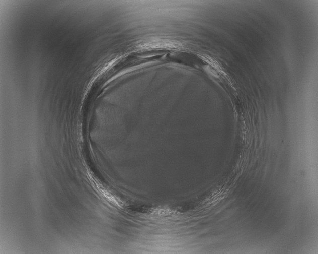 X0000052920399200508050809
