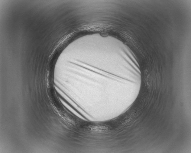 X0000052920400200508050809