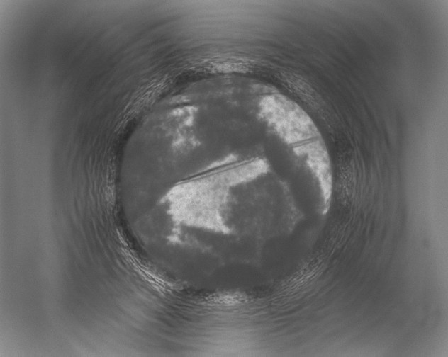 X0000052920402200508050809