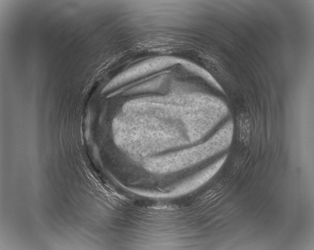 X0000052920404200508050808
