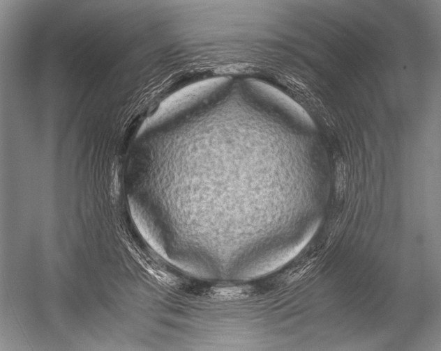 X0000052920405200508050808
