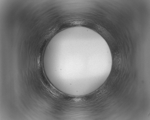 X0000052920406200508050808