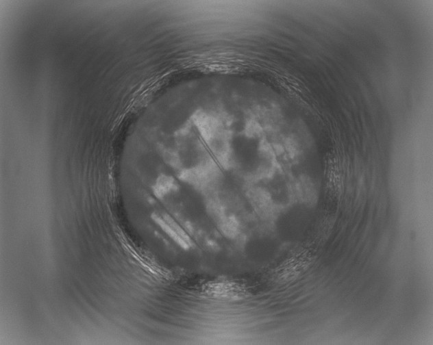 X0000052920408200508050808
