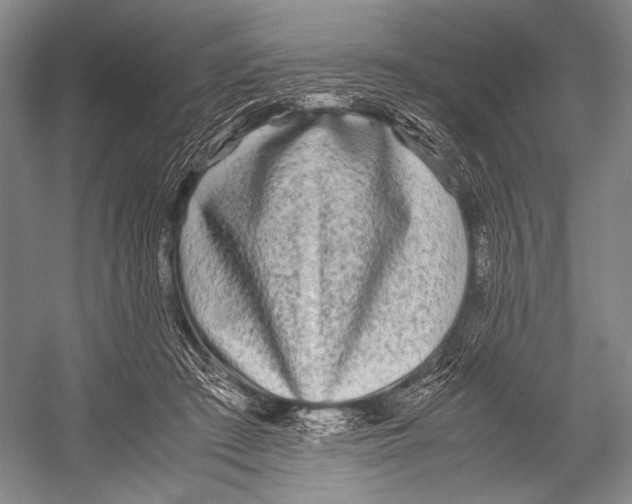 X0000052920409200508050808