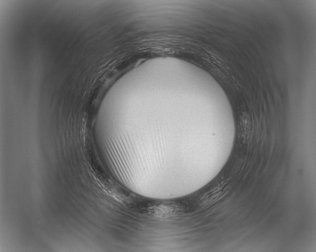 X0000052920412200508050808