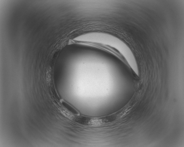 X0000052920413200508050808