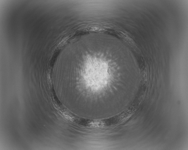 X0000052920415200508050808