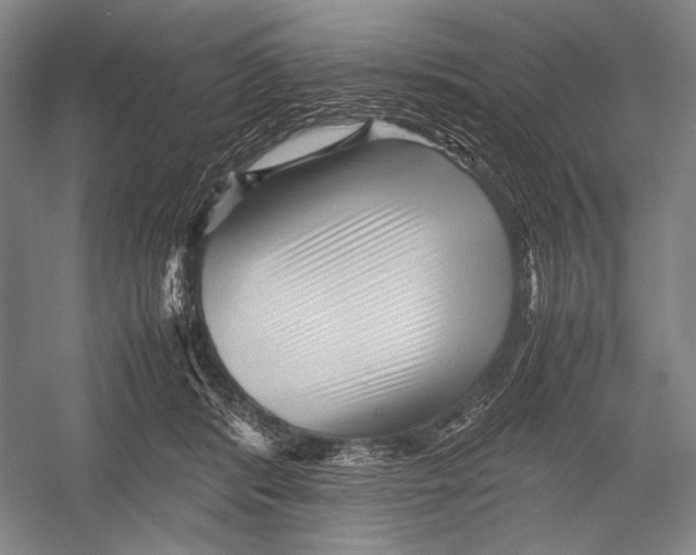 X0000052920416200508050808