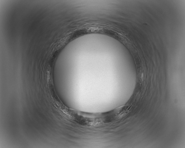 X0000052920417200508050808