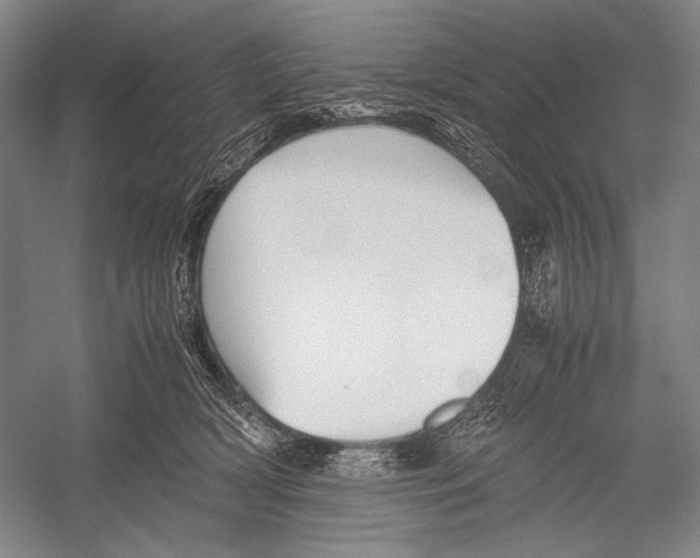 X0000052920418200508050808