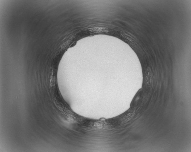 X0000052920420200508050808