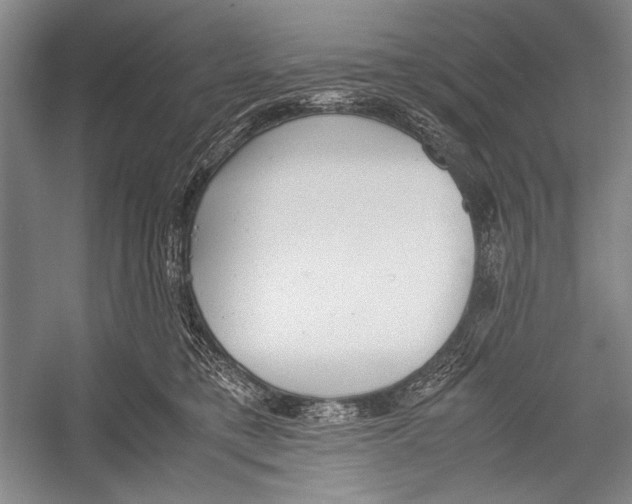 X0000052920421200508050808
