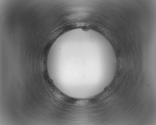 X0000052920422200508050808