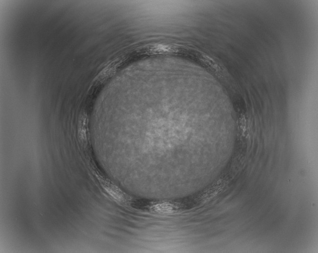 X0000052920423200508050808