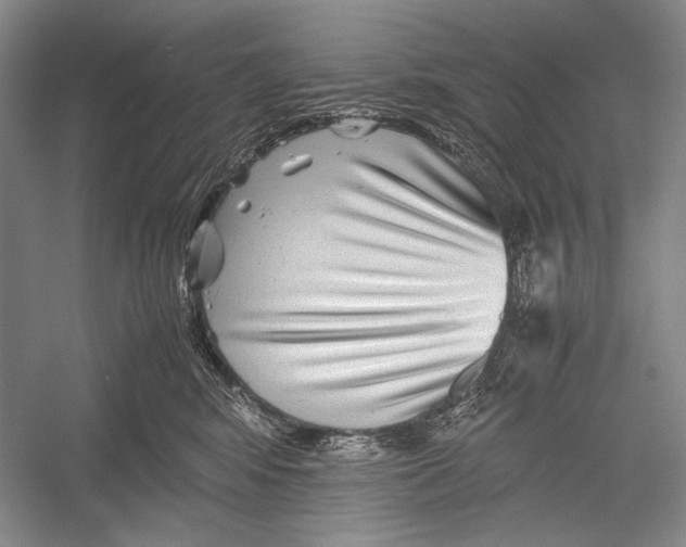X0000052920424200508050808