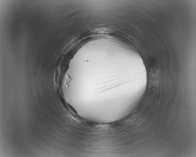 X0000052920428200508050808